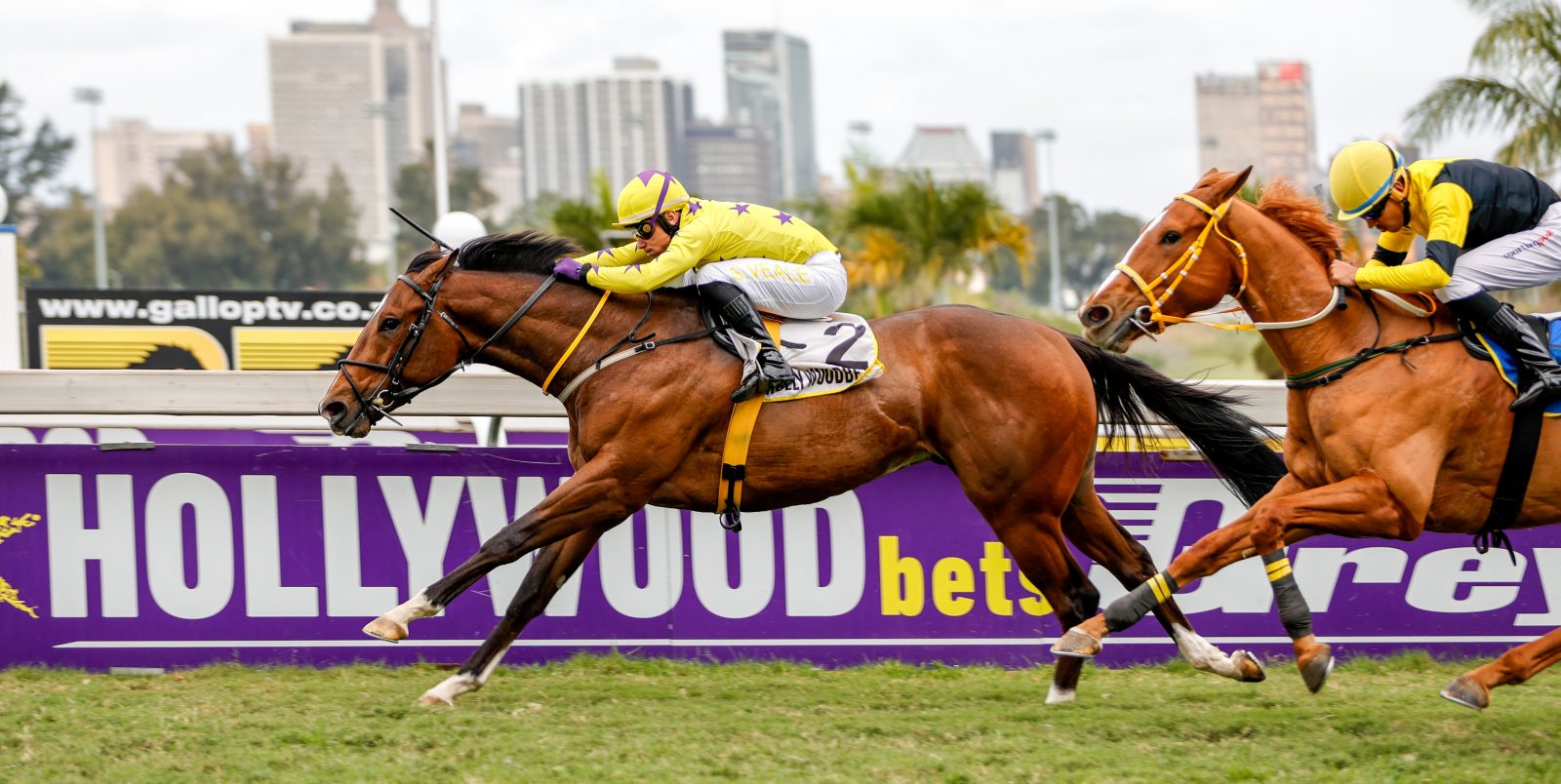 Hollywoodbets Greyville Horse Racing Tips Gallop Guru Hollywoodbets Greyville Horse Racing Tips Gallop Guru