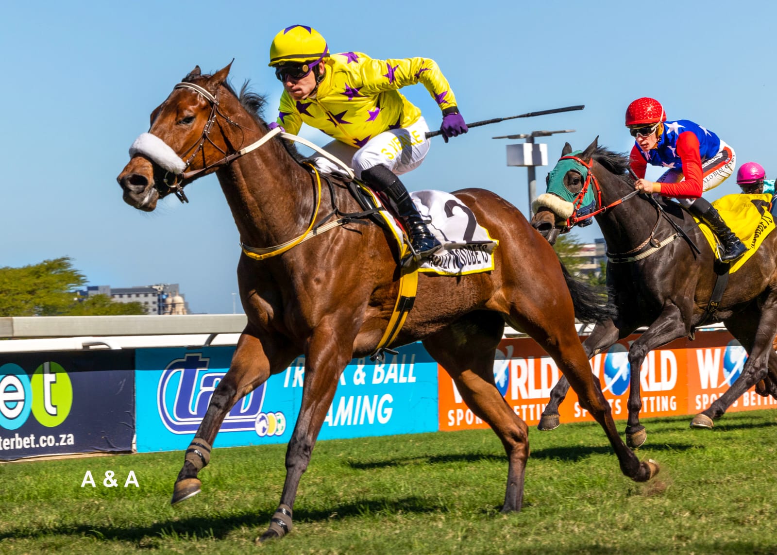 Hollywoodbets Scottsville Tips: 23 April 2025