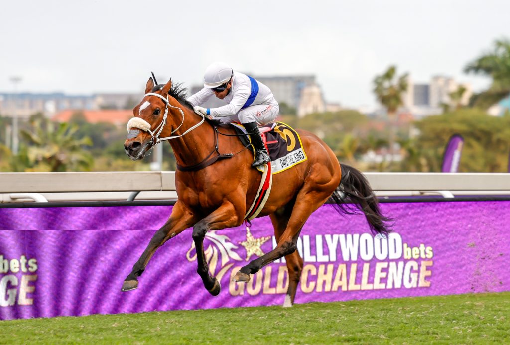 Hollywoodbets Gold Challenge 2025 Tips