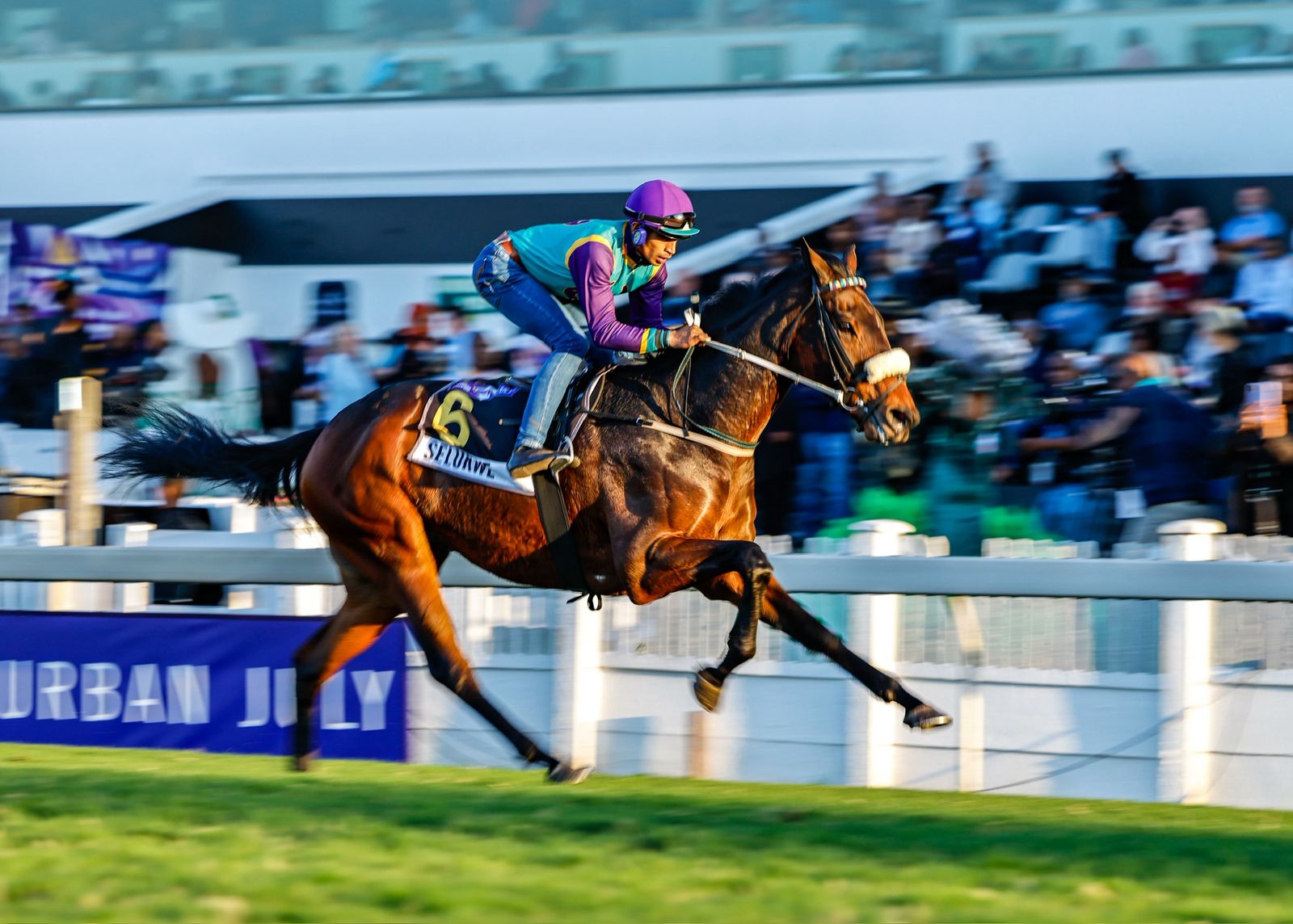 Selukwe - Hollywoodbets Durban July 2025