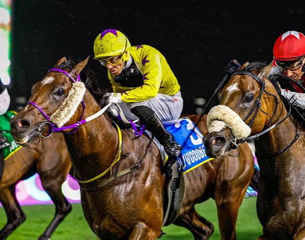 Lucky Fish Friday Night Racing Tips: Horses to watch