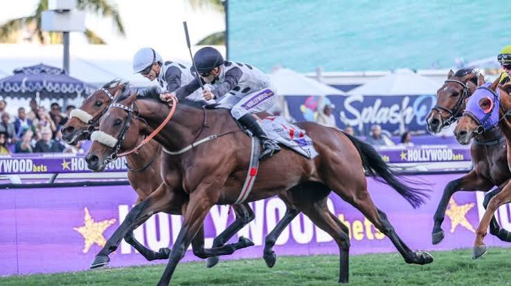 Grand Heritage: The Next Race on South Africa’s Racing Calendar
