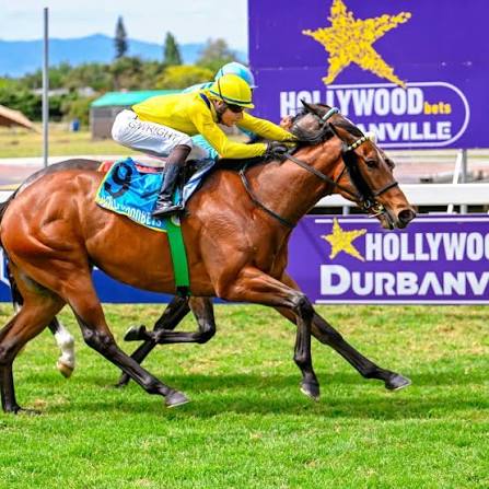 Durbanville Racing Takes Centre Stage as October Action Heats Up
